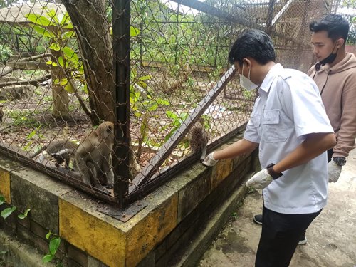 Hal 9 3 Klm Satwa Jahri Saleh