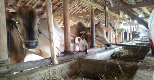 IMG 20220516 WA00431 scaled