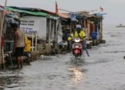 Banjir Rob Mengancam, BPBD Banjar Siaga