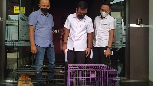 WhatsApp Image 2022 05 12 at 17.17.22 scaled