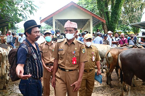 Bupati Himbau Warga Bergerak Cepat Cegah Penularan PMK 1 hal 11 Tala 4 klm