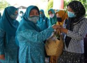 Ketua TP-PKK HSS Bina Posyandu di Tambak Bitin 24 Ketua TP-PKK HSS Bina Posyandu di Tambak Bitin