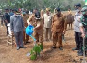 Kembangkan Tanaman Lokal, Bupati Apresiasi Kades Uwie