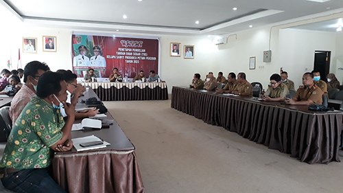 Rizky R Badjuri : Dibanding April, Harga TBS Sawit Mei 2022 Lebih Rendah 1 15 kalteng3