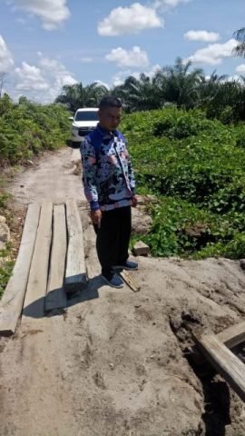 15 katingan 6 scaled