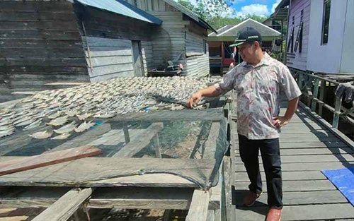 DPRD Kapuas Harapkan Pemda Bantu Pemasaran Usaha Ikan Kering Warga 1 16 Foto Kapuas 3