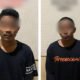5 keroyok 2klm