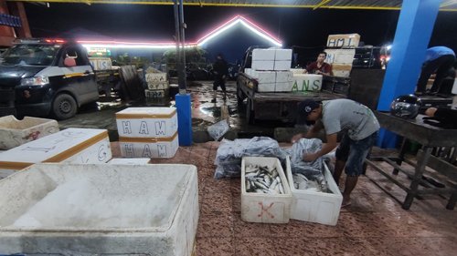 Nelayan Berlayar Jauh, Harga Ikan Laut Naik 1 8 4klm