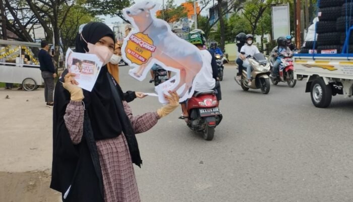 Hanya Dua Hari! Flash Sale Hewan Qurban dari Global Qurban ACT Kalsel