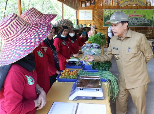 Agrowisata Terpadu Bitahan Baru Hasilkan Kebutuhan Pangan 1 hal 12 Tapin 35 klm 1
