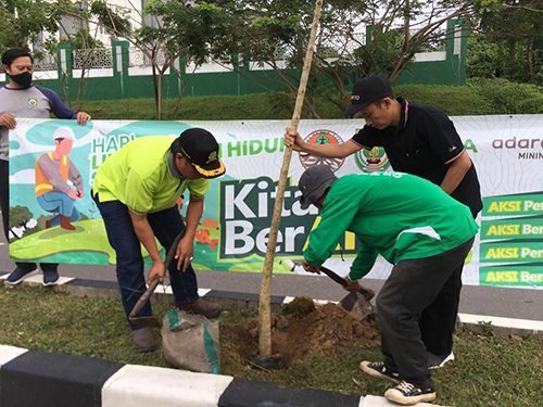 Peringati Hari Lingkungan Hidup Tanam Jenis Pohon Tabebuya 1 hal 2 Bal 3 klm 8