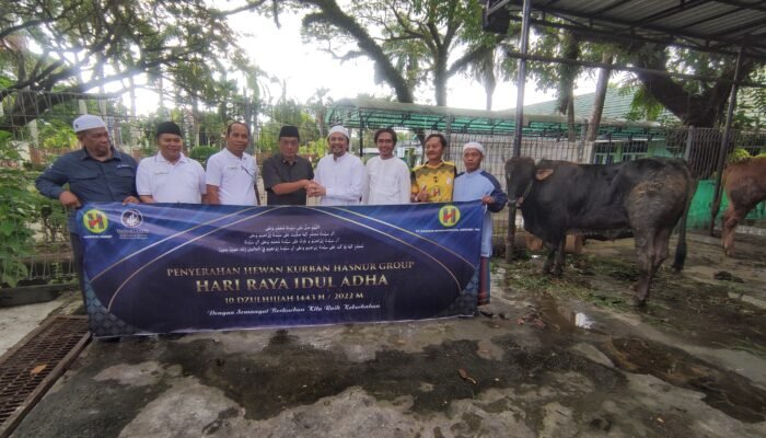 Sambut Iduladha 1443H, Hasnur Group Salurkan 180 Ekor Sapi Kurban