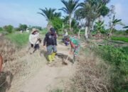 Bersama Warga Binaan Sertu Rusmadi Gotong Royong Pembersihan Jalan Usaha Tani