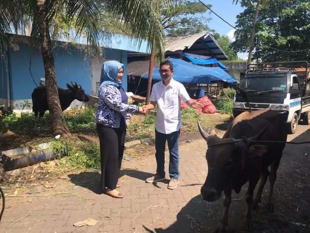 IJTI Pengda Kalsel Bakal Tebar Daging Kurban dengan Cara Berbeda 1 IMG 20220708 WA0051 scaled