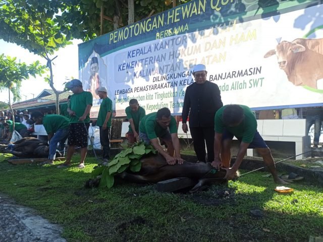 IMG 20220710 WA0049 scaled