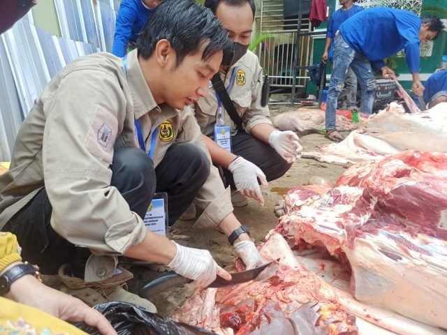 IMG 20220710 WA0052 scaled