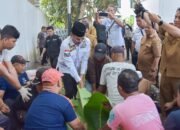 DPRD Kalsel Sembelih Tiga Ekor Sapi 13 DPRD Kalsel Sembelih Tiga Ekor Sapi
