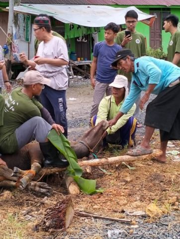 IMG 20220711 WA0030 scaled