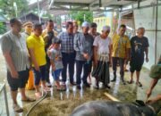 Ketua DPD Golkar HSU H Sahrujani Potong Lima Ekor Sapi Kurban 15 Ketua DPD Golkar HSU H Sahrujani Potong Lima Ekor Sapi Kurban