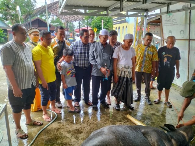 IMG 20220712 WA0004 scaled