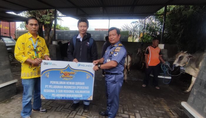 Sambut Idul Adha 1443 H, PT Pelindo Regional Kalimantan Salurkan Hewan Kurban