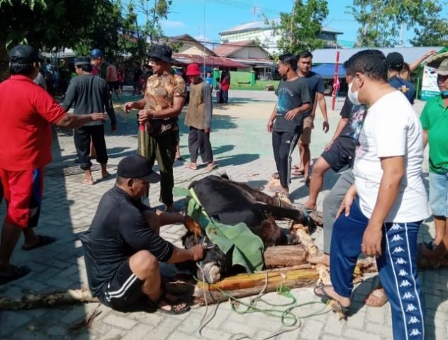 IMG 20220710 201305 scaled