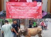 Peringati Iduladha, Trio Motor Bagikan 3 Ekor Sapi 9 Peringati Iduladha, Trio Motor Bagikan 3 Ekor Sapi