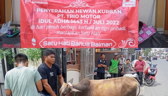 Peringati Iduladha, Trio Motor Bagikan 3 Ekor Sapi