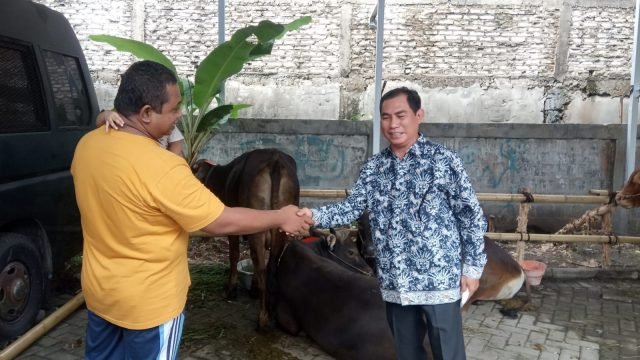 WhatsApp Image 2022 07 09 at 22.12.46 scaled