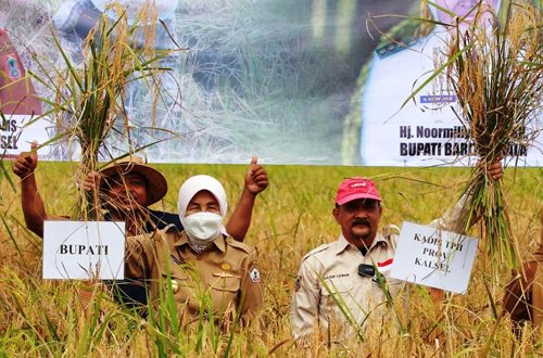 Noormiliyani: Potensi Besar Pertanian Batola Harus Dijaga 1 hal 11 Batola 4 klm 11