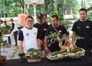 Jemur Bonsai di Kandangan Ajang Pamerkan Karya dan Silaturahmi 18 Jemur Bonsai di Kandangan Ajang Pamerkan Karya dan Silaturahmi