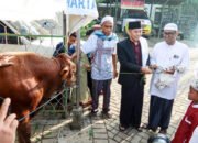 Wabup Serahkan Sapi Kurban SOPD ke Masyarakat 31 Wabup Serahkan Sapi Kurban SOPD ke Masyarakat
