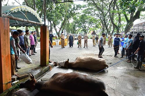 hal 12 HSS 1 3 klm 8