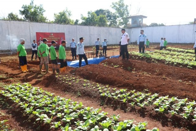 IMG 20220812 WA0038 scaled