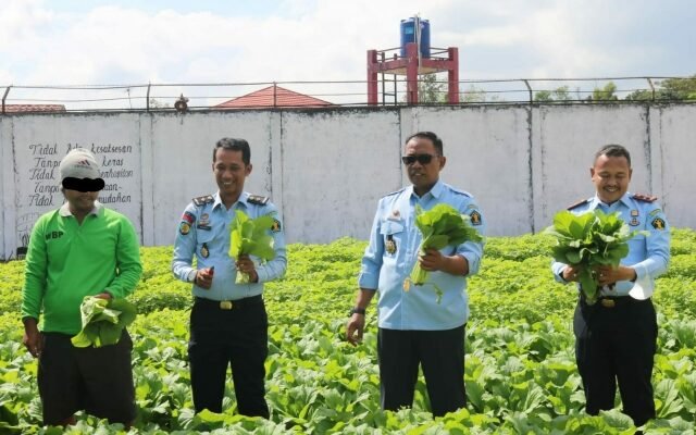 Hasil Panen Asimilasi Perkebunan dan Pertanian Rutan Pelaihari Sudah Miliki Pelanggan Tetap