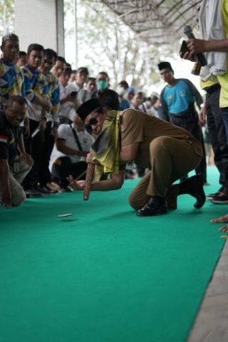 13 3klm Pamsn birin balogo jpg scaled