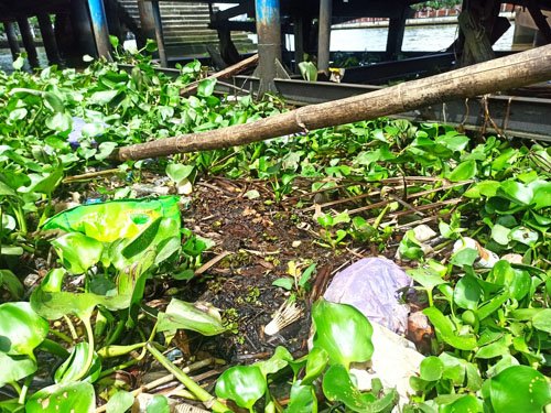 Siapkan Dokumen Soal Cemaran Mikroplastik 1 HAL 10 3 kLM Cemar