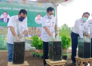 Balitra Kembangkan Budidaya Tanaman Purun