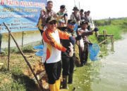 Bupati Panen Perdana Ikan Patin