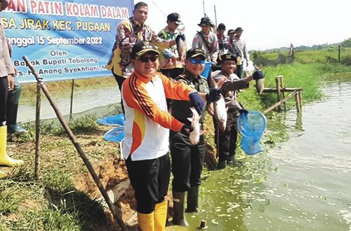 hal 4 Tabalong Adv 1 3 klm 1