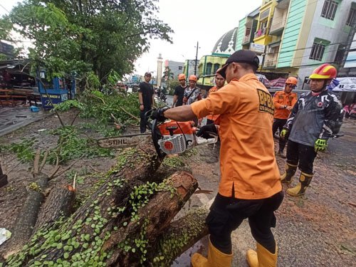 Hal 9 3 Klm Potong Pohon Roboh