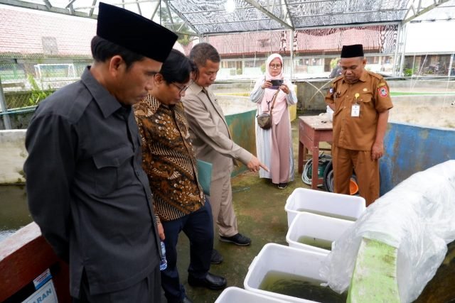 IMG 20221003 WA0120 scaled