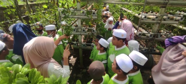 IMG 20221012 WA0055 scaled