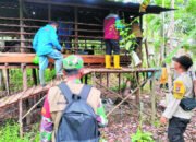 Cegah PMK, Disbunak Semprot Kandang Warga