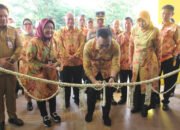 Menteri PANRB Luncurkan SIMRS Batola