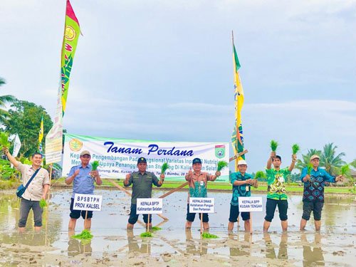 Dukung Upaya Penanggulangan Stunting<br>Tanam Perdana Demplot Padi Penangkaran Verietas Inpari IR Nutri Zinc 1 hal 12 Tanbu 35 klm