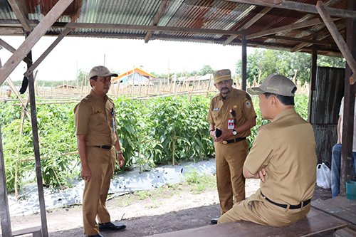 hal 12 Tapin 35 klm 5