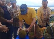 Makan Buah Durian Gratis di Bukit Mamake