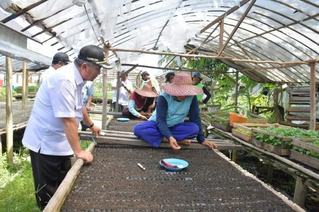 Hal 12 HSS 3 klm 16 scaled