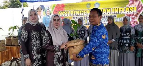 Dispertan Tapin Bagikan 10 Ribu Bibit Cabai dan Bawang Merah 1 Hal 2 Rantau 4 klm 1